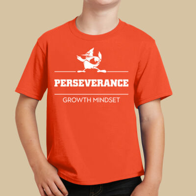 Youth T-Shirt - House Perseverance Thumbnail