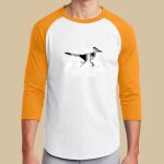 Adult Raglan T-Shirt - Aggie Roberts Thumbnail